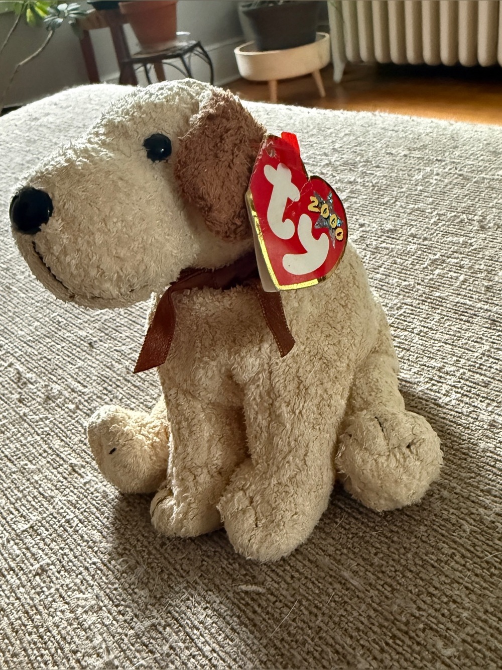 TY BEANIE BABY RUFUS DOG Y2K 2000 MILLENNIUM STAR HANG TAG WITH RIBBON COLLAR